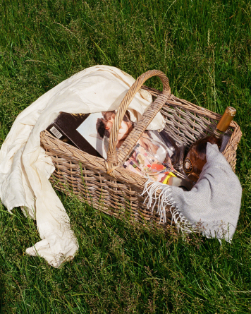 Picnickurv til naturoplevelser